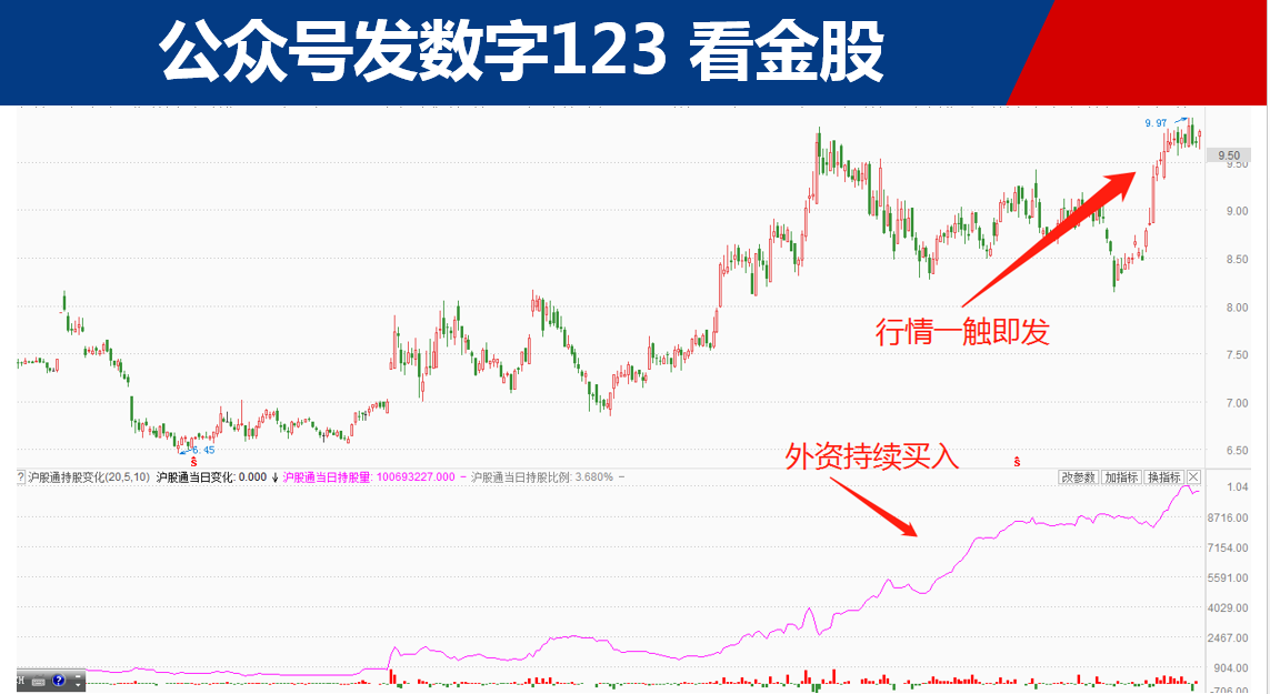 这是股灾来最大的行情! 这是股灾来最大的行情!