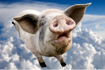当储备肉开始发售之际，猪肉股的头部形成？