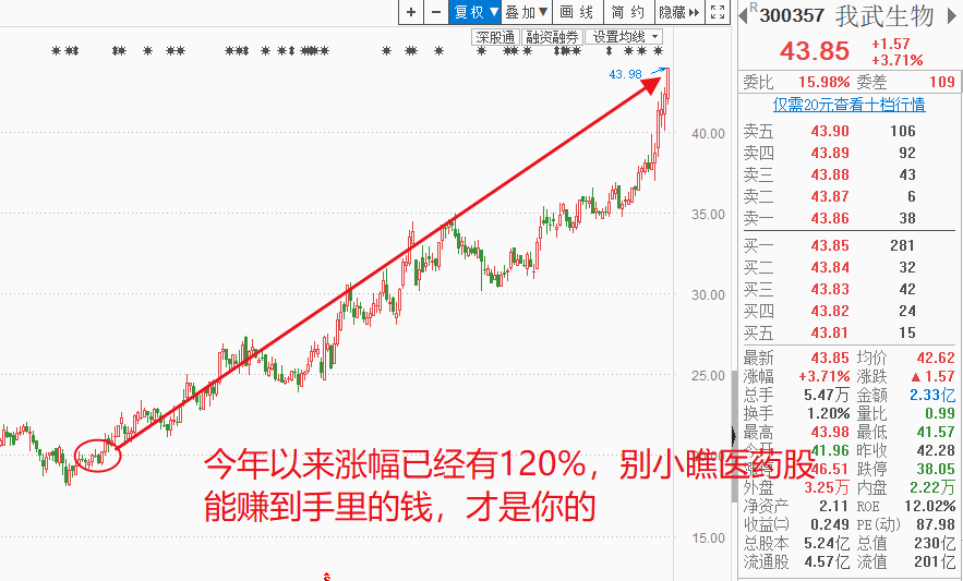预期的反弹出现，但很多投资者表示心力憔悴，能否有穿越牛熊的策略（附穿越牛熊金股）