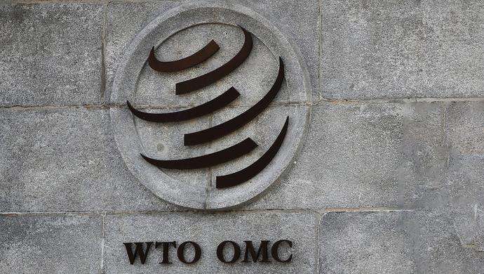 WTO遭遇最大危机？症结在美国