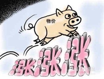 是“结构性通胀” 还是经济滞胀？  (二)