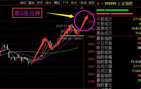 第5浪反弹开启