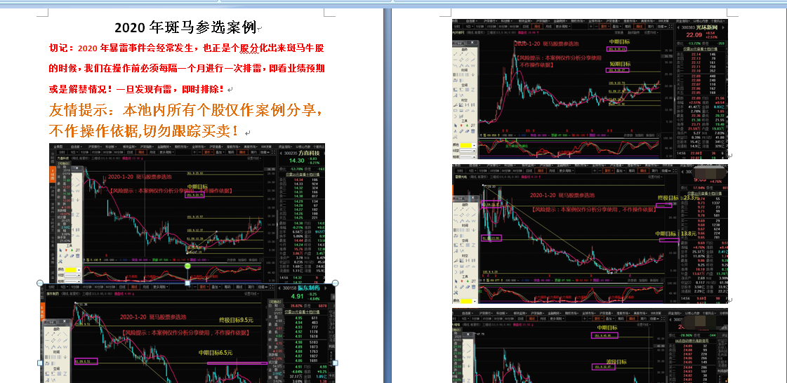 斑马实战内参