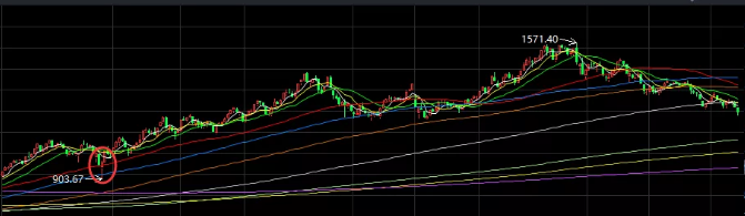 02.17收评|强势逼空！这样整！