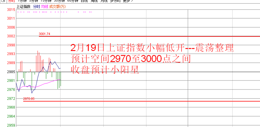 李权兴解盘   2月19日