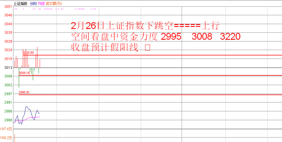 李权兴解盘  2月26日