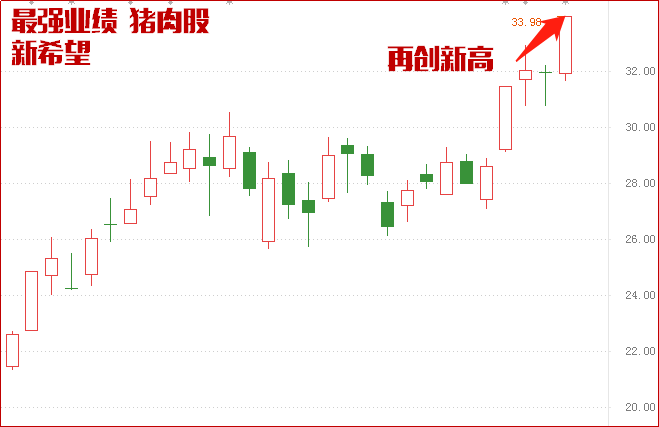 拉升！最强业绩，此股主力再度拉抬！