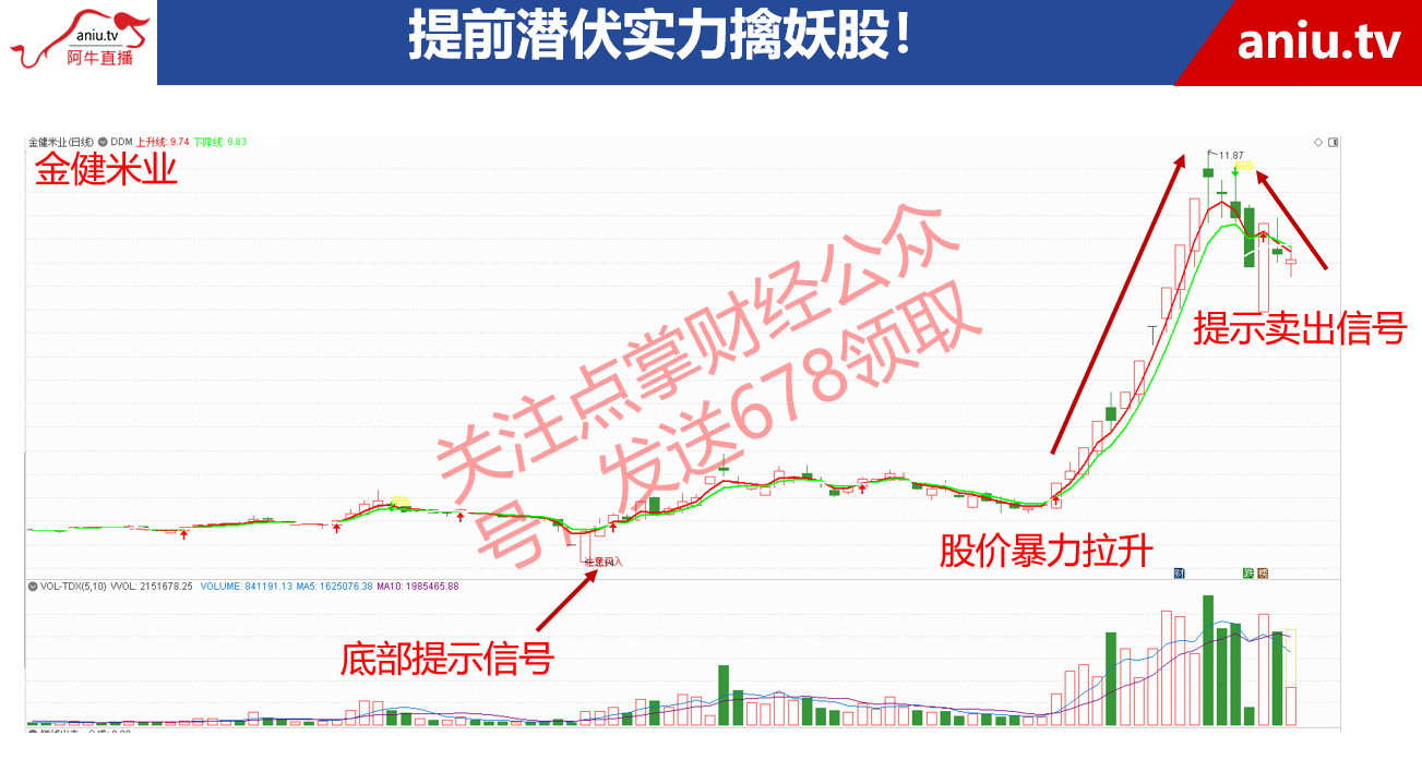 【观点】顾爱珺：牛股都会有倍倍量，那么倍倍量应该怎么看？