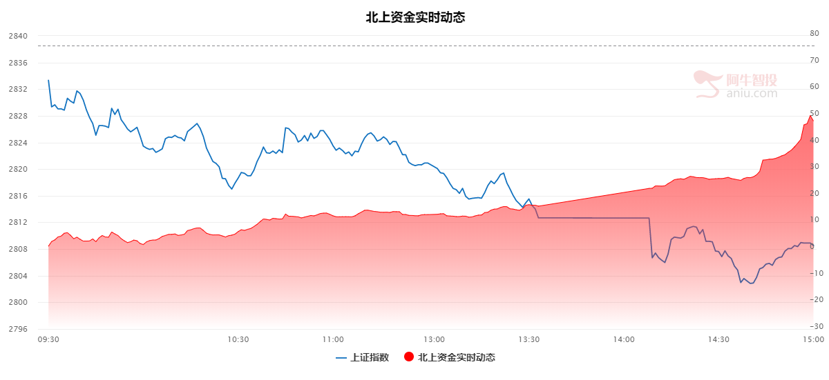 市场快速杀跌，北上资金加速进场，到底谁在犯傻？