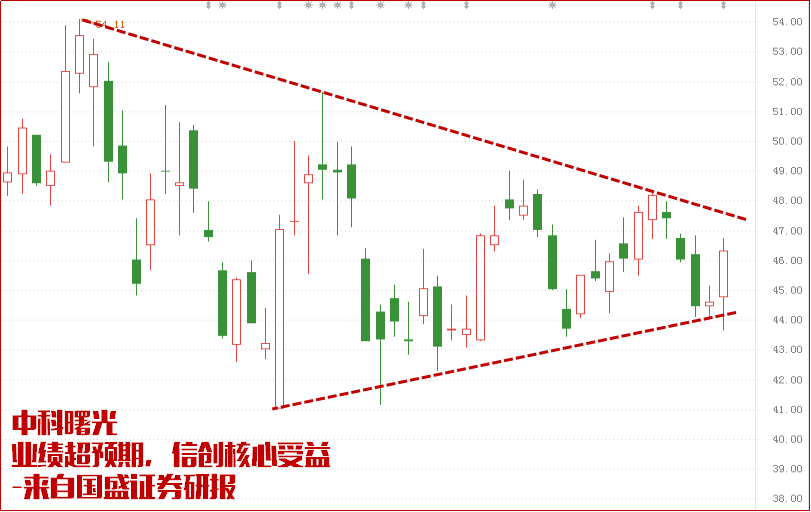 国产替代加速，主力或将盯上这两家！