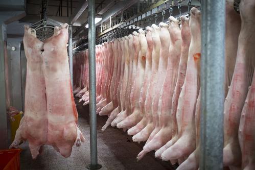 又来2万吨储备冻猪肉 年内累计投放将达49万吨