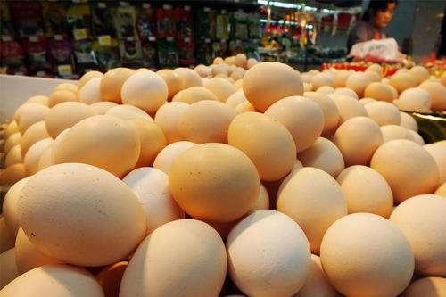 鸡蛋价格一个月反弹近四成