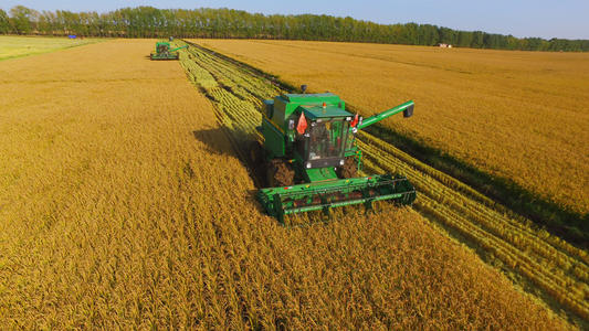 全国早稻总产量达2729万吨 增长3.9%