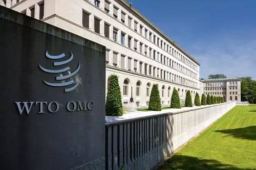 WTO新掌门遴选即将开启“淘汰赛”