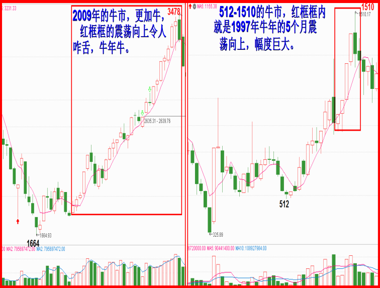 牛年，就是牛的年！！