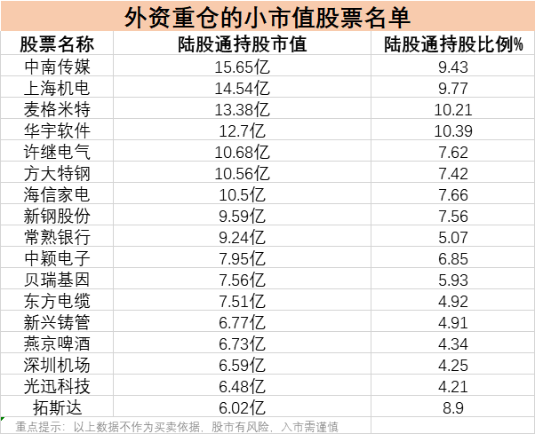 外资持仓最多的小市值股票名单！