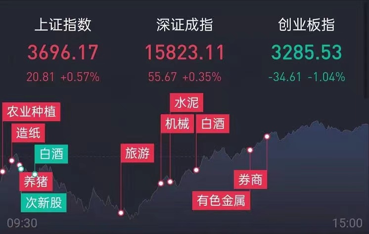 2月19日复盘及点评：新的一周、新的开始、新的机会！！