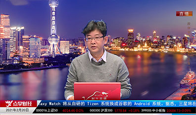 公告追踪2021-02-20