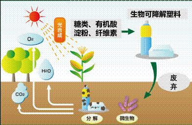 可降解塑料概念股有哪些？​可降解塑料概念股一览表