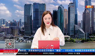 机构看股2021-02-25
