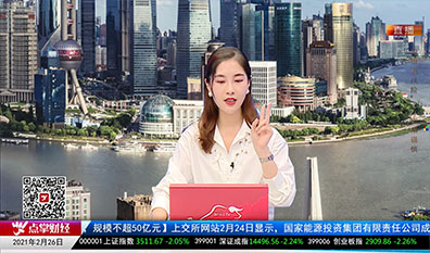 股市诊疗2021-02-26