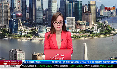 强势追踪2021-02-28