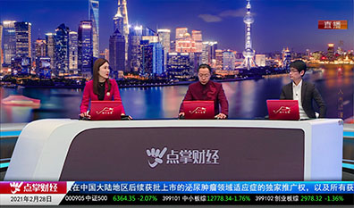 投顾当家2021-02-28