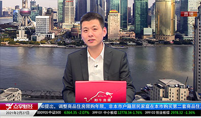 砖家周周谈2021-02-27