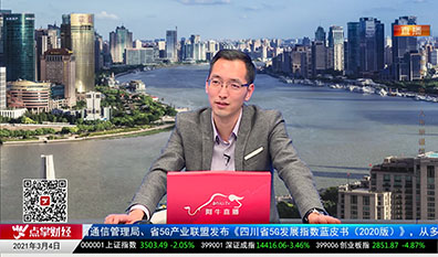 首席投顾2021-03-04