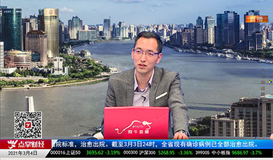 解码公司2021-03-04