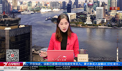 解码公司2021-03-05
