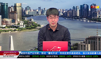 首席投顾2021-03-08