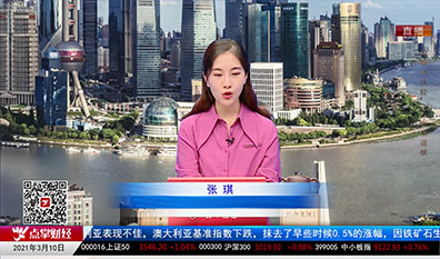 解码公司2021-03-10