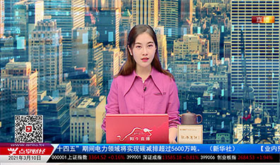 股市诊疗2021-03-10
