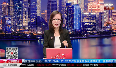 主题投资2021-03-10