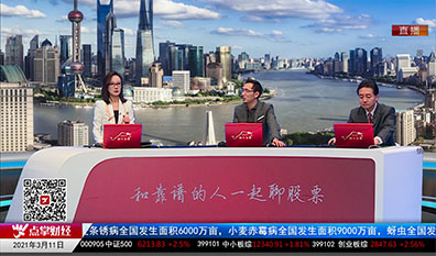 首席投顾2021-03-11
