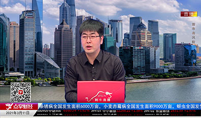 政策聚焦2021-03-11