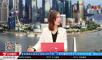 财富广角2021-03-11