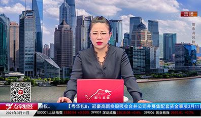 名家视点2021-03-11