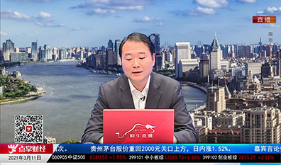 解码公司2021-03-11
