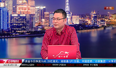 主题投资2021-03-11
