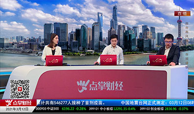 解码公司2021-03-12
