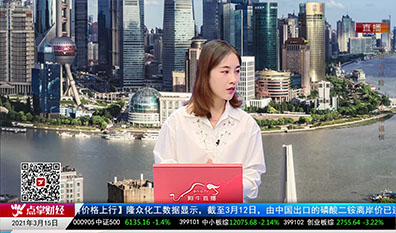 解码公司2021-03-15