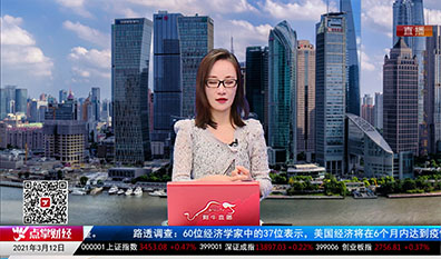 首席投顾2021-03-12