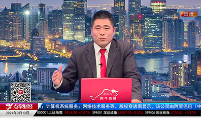 机构策略师2021-03-12
