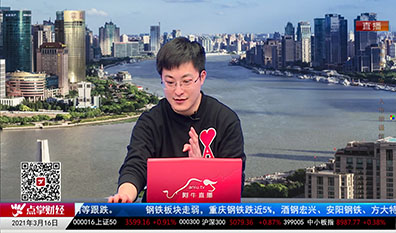 首席投顾2021-03-16