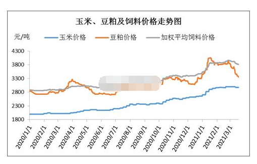 肉鸡养殖迎来“新转机”？