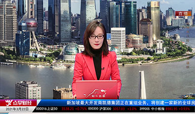 首席投顾2021-03-22
