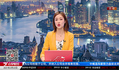 机构策略师2021-03-22