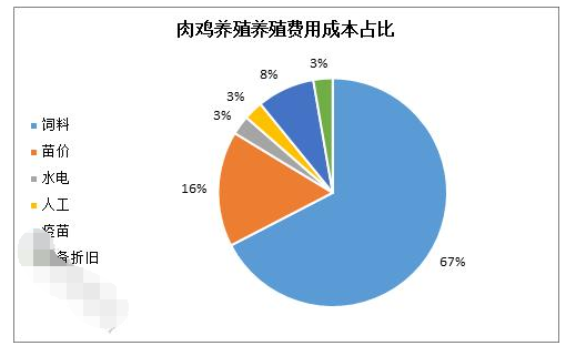 肉鸡养殖迎来“新转机”？